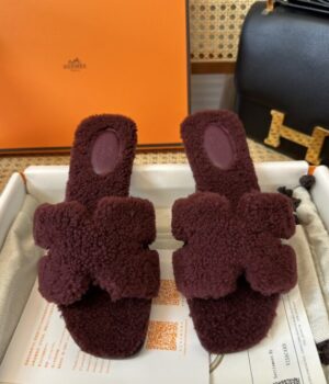 HERMES Slides