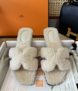 HERMES Slides