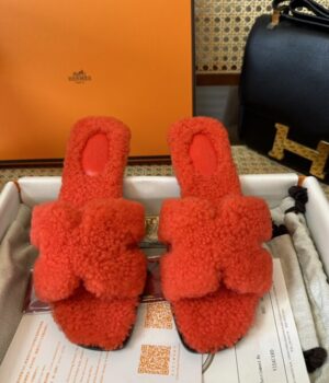 HERMES Slides