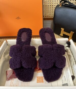 HERMES Slides