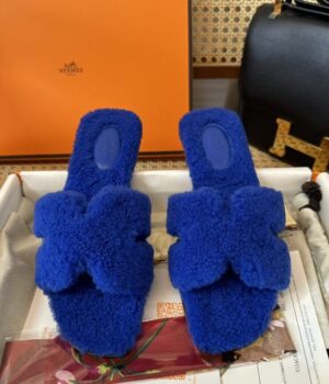 HERMES Slides