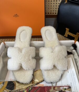 HERMES Slides