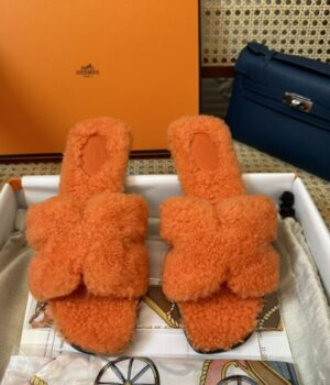 HERMES Slides