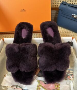 HERMES Slides