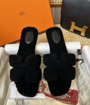 HERMES Slides
