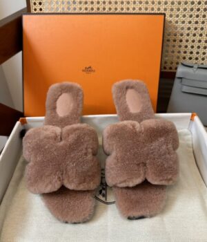 HERMES Slides