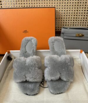 HERMES Slides
