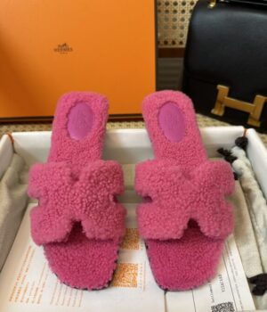 HERMES Slides