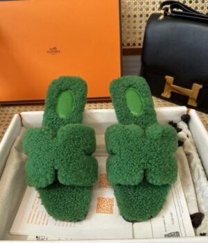 HERMES Slides