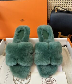 HERMES Slides