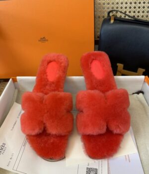 HERMES Slides