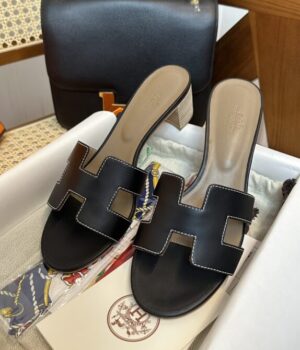HERMES Slides