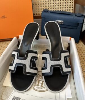 HERMES Slides