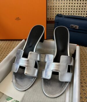 HERMES Slides