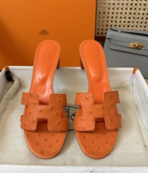 HERMES Slides