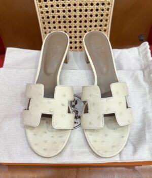HERMES Slides