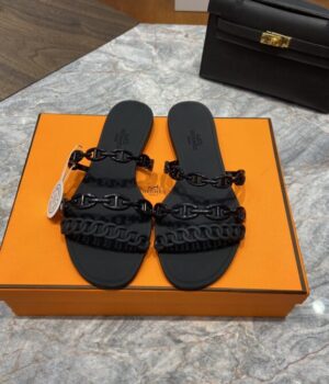 HERMES Slides