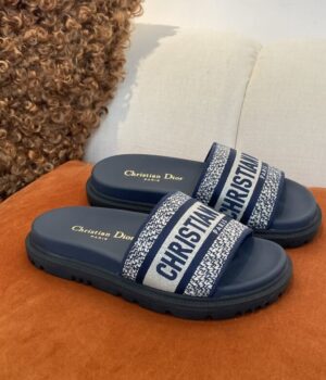 DIOR Slides