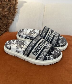 DIOR Slides