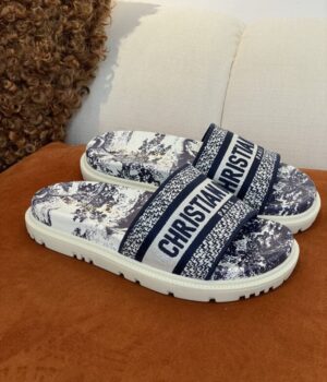 DIOR Slides