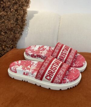 DIOR Slides