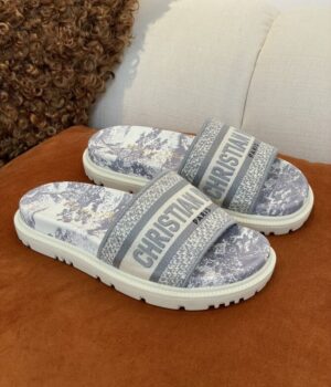 DIOR Slides