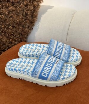 DIOR Slides