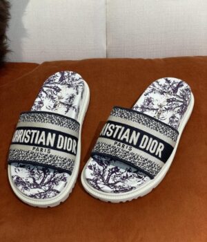 DIOR Slides