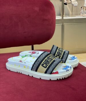 DIOR Slides