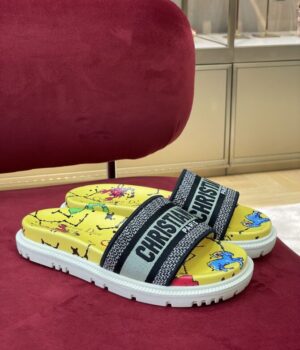 DIOR Slides