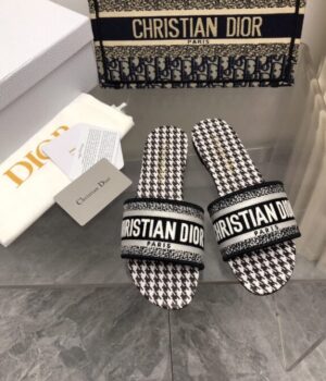 DIOR Slides