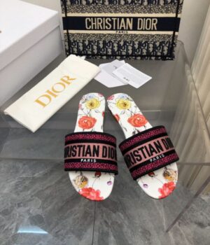 DIOR Slides