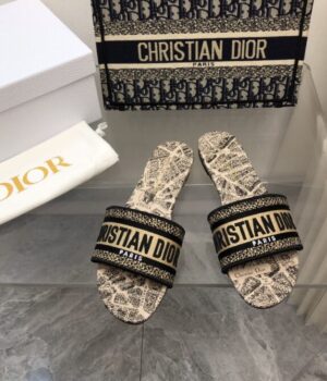 DIOR Slides