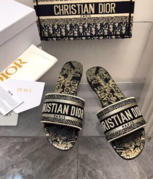 DIOR Slides