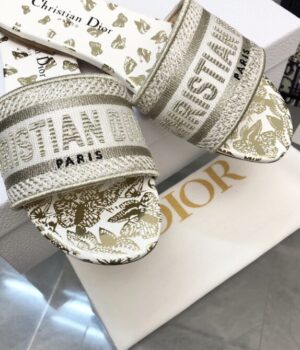 DIOR Slides