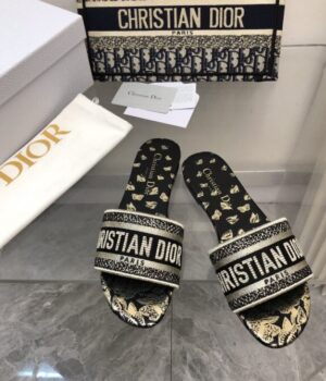 DIOR Slides