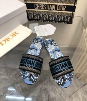 DIOR Slides