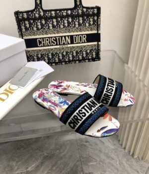 DIOR Slides