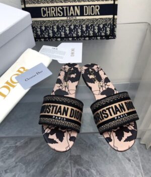 DIOR Slides