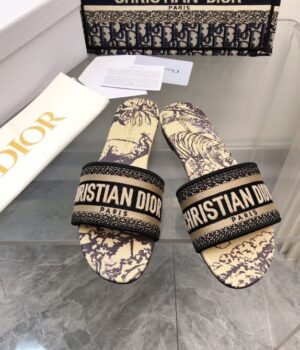 DIOR Slides