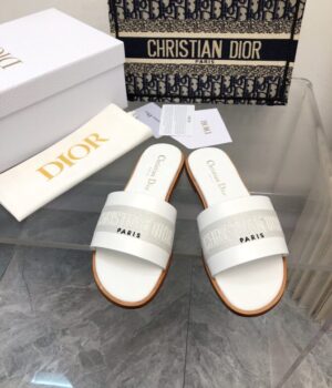 DIOR Slides