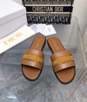 DIOR Slides