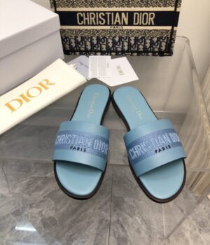 DIOR Slides