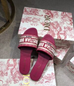 DIOR Slides