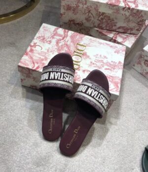DIOR Slides