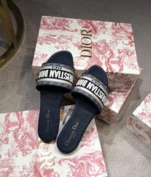 DIOR Slides