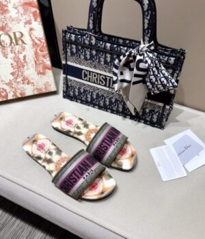 DIOR Slides