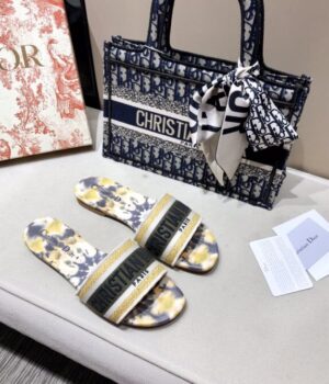 DIOR Slides