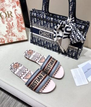 DIOR Slides