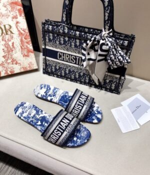 DIOR Slides
